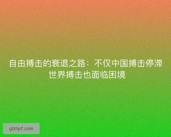 自由搏击的衰退之路：不仅中国搏击停滞 世界搏击也面临困境